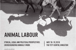 /home/lecreumo/public html/wp content/uploads/2018/04/animal labour