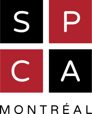 Animal welfare organizations: responding to ethical challenges @ SPCA de Montréal