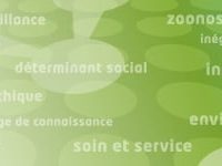 Programme de bourses d’excellence de l’IRSPUM IRSPUM_header
