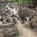 Firewood market, Lalibela