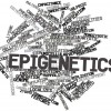 /home/lecreumo/public html/wp content/uploads/2016/10/epigenetics