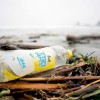 “Comment: Plastic pollution a growing problem on our coasts” /home/lecreumo/public html/wp content/uploads/2017/11/plastic