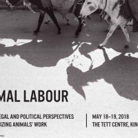 /home/lecreumo/public html/wp content/uploads/2018/04/animal labour