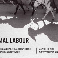 Animal Labour: Ethical, Legal and Political Perspectives on Recognizing Animals’ Work /home/lecreumo/public html/wp content/uploads/2018/04/animal labour