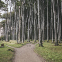 Challenging Choice Situations /home/lecreumo/public html/wp content/uploads/2019/04/fork path