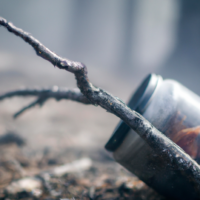 Discussion autour de l’article « The Bioethics of Environmental Injustice: Ethical, Legal, and Clinical Implications of Unhealthy Environments », de Keisha Ray et Jane Fallis Cooper /home/lecreumo/public html/wp content/uploads/2023/10/capture decran le 2023 10 23 a 102846