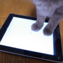 /home/lecreumo/public html/wp content/uploads/2023/11/cat with ipad